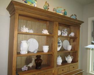 Sea shell, etc. collection