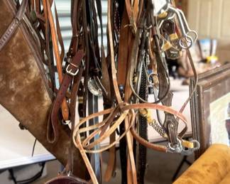 Bridles, lead ropes