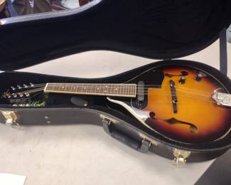 Rogue mandolin electrified With case.