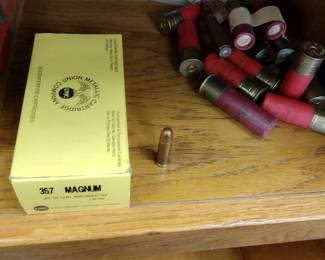 357 Magnum ammo and shotgun shells.