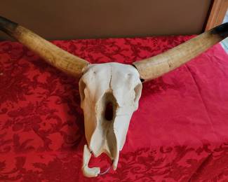 Faux, Long Horn Steer