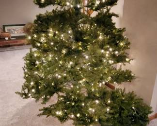 Christmas Tree, Pre LIt