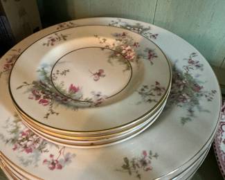 Haviland Apple Blossom China
More than what’s pictured