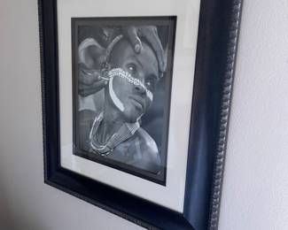 Framed pictures from Lost Africa