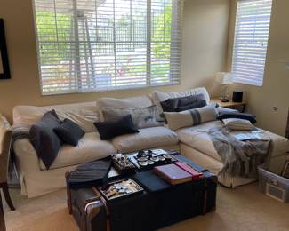 Restoration Hardware Sectional and Trunk coffee table