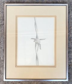 Peter Klasen Styel Pencil Signed Barb Wire art Framed
