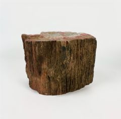 5LB Piece Of Petrified Wood
