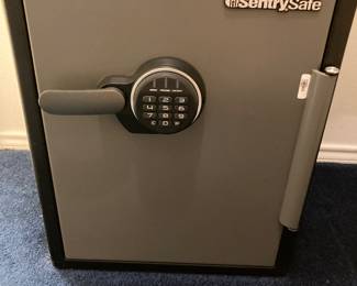 Sentry digital entry safe