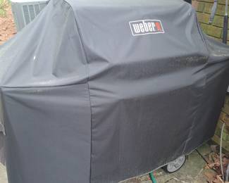 Weber Grill