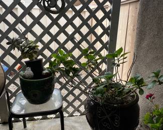 potted plants and patio table, metal hanging lizard