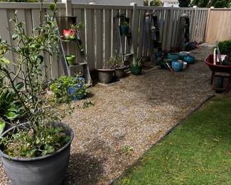 Lots of pots and plants