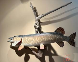 Fresh Water NORTHERN PIKE Real Skin TAXIDERMY Fish Mount