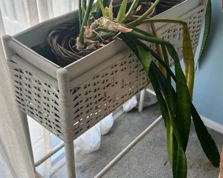 white weave plant holder