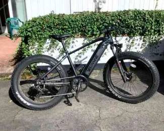 HAYE242 Veowave Electric Bike