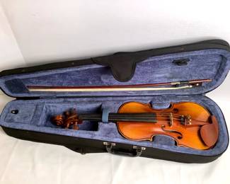 HAYE224 Violin with Case and Bow