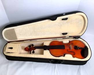 HAYE223 Violin with Case and Bow