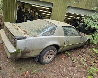 1984 Pontiac Firebird, 59k miles. Needs battery, needs towed. $2,500 takes her home