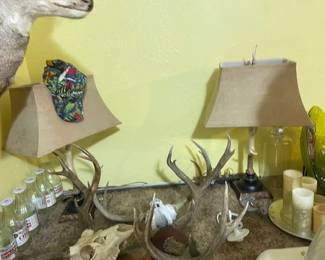 Deer Horn Lamps, horns and trophies