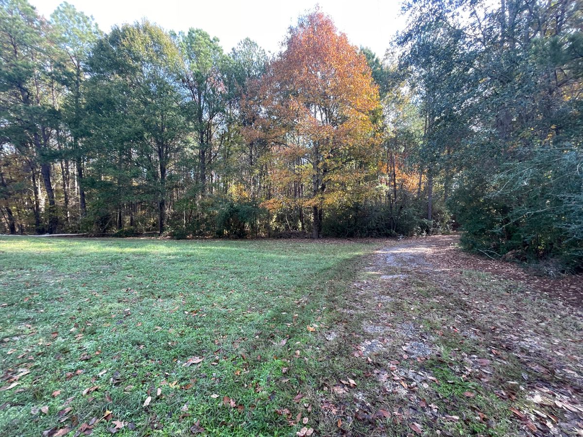 Laneville Tx. Real Estate & Personal Property starts on 3/27/2024