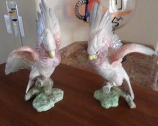 Fritz & Floyd Cockatoos