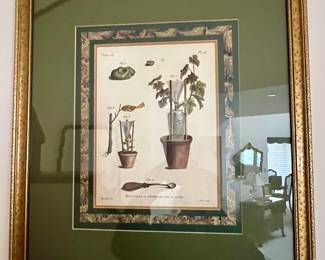Artwork with more Botanical Prints