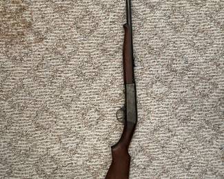 Remington model 24 .22 caliber