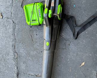 Cordless Battery Leaf Blower w/ Battery & Rapid Charger