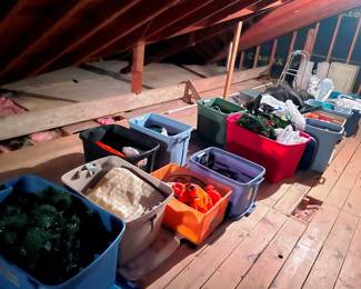 Halloween costumes, Christmas decor, Easter and more