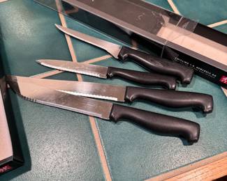 Group of kitchen knives with plastic handle