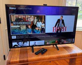 Sony 49" tv (2014) with Roku stick and controllers