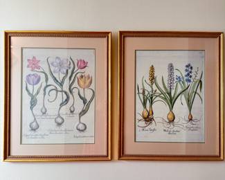 Beautifully-framed botanical prints each is 25"H x 20"W