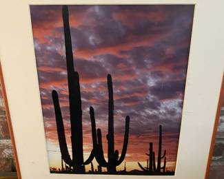 Lots of nice framed pictures - various sizes and subjects