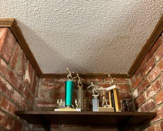 Shelves beside fireplace