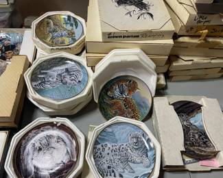 wild cats and bunny plates