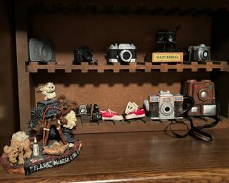 Camera ornaments