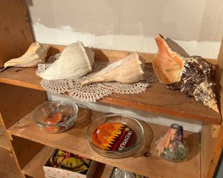 Conch shells, anchor hocking glass pans