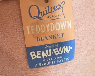 2 Quiltex Terry Down Blankets