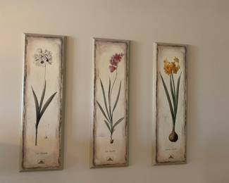 Trio of botanical flower art