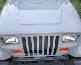1995 Jeep with small block Chevy motor, has moderate build. Double pumper Edelbrock high rise manifold