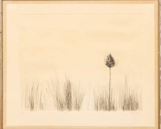 Leonard Baskin (American, 1922-2000) Etching on Paper "The Great Teasle", H 21.75" W 27.5" | Signed in pencil lower right, titled and numbered 65/125, with full margins.  Frame Measurements H 30.5" W 36" Provenance: Property of Prominent Collector, Birmingham, Michigan
