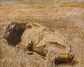 Svenn Heddi, Oil on Board, Ca. 1980s, "Shedding Bison on the Plains", H 24" W 18" | Signed in the lower right. Early spring scene on the American plains of a bison shedding it's winter coat. Having a carved wood frame, H 31", W 25". Incomplete landscape painting on the verso. Provenance: Property of Prominent Collector, Birmingham, Michigan