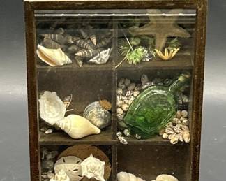 6-Part Ocean Display w/ Seashells & Sea Glass