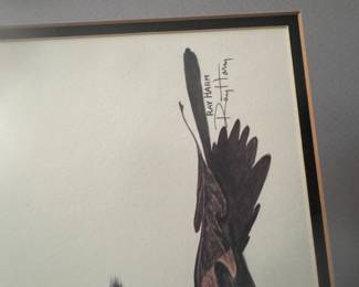 signature of  Ray Harm Bird prints 