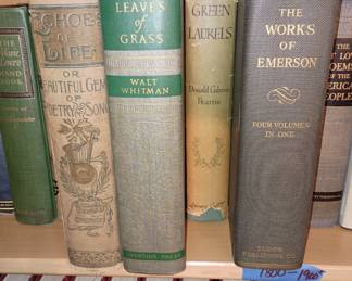 Just a small sample of vintage books 