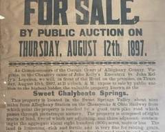 Sale Picture