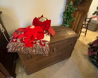 Great camel back trunk