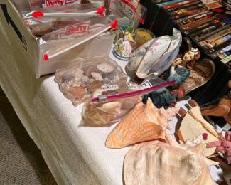 Shells of all kinds.