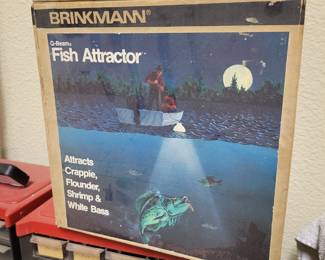 Brinkmann fish attractor