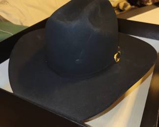 Stetson 15x hat