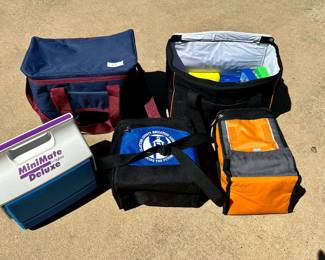 5pc Coolers with Ice Packs